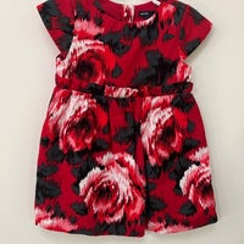 Baby Gap dress, Size 2